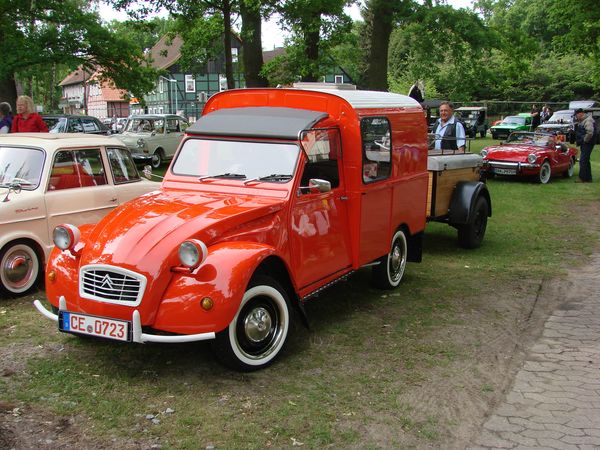 Kastenente